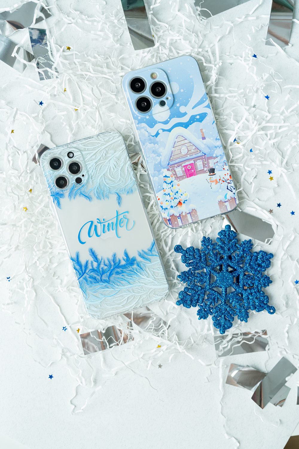 Winter cases flat lay